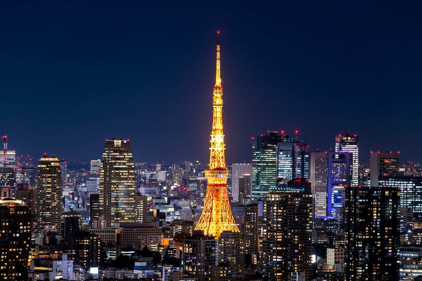 Osaka - Nara - Núi Phú Sĩ - Tokyo